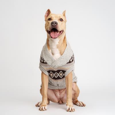 Свитер с узорами для собак, 4XL, серый – фото 1