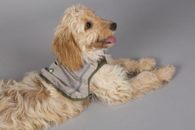 Insect Shield Dog Vest Жилетка защитная д/собак с пропиткой от насекомых XXL – фото 1