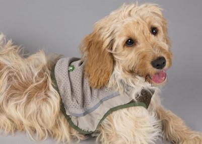 Insect Shield Dog Vest Жилетка защитная д/собак с пропиткой от насекомых XXL – фото 9