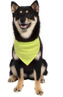 Бандана для животных Баден, зеленая неон, L, ош 40-55 см – фото 1