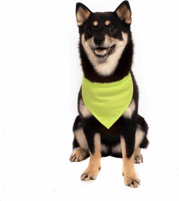 Бандана для животных Баден, зеленая неон, L, ош 40-55 см – фото 3