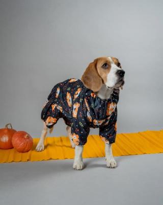 Дождевик для собак Фэки, унисекс, разноцветный, 3XL, длина спины 50 см – фото 2