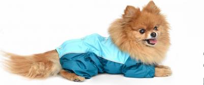 дождевик для собак "Исонадэ" (S) – фото 8