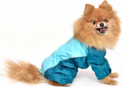 дождевик для собак "Исонадэ" (XL) – фото 9