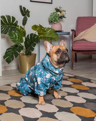 Дождевик для собак Лип, унисекс, разноцветный, 2XL, длина спины 46 см – фото 1