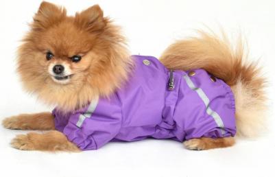 Комбинезон для собак Фифти, женский, фиолетовый, M, длина спины 27 см – фото 1