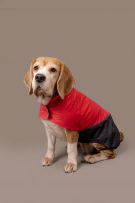 Попона для собак Блант, женский, розовый, серый, 3XL, длина спины 50 см – фото 1