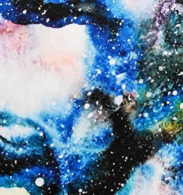 Жилет для собак Опал M – фото 5