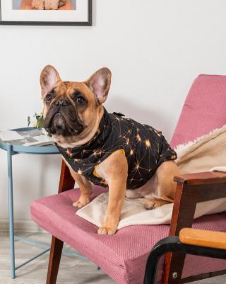 Жилет для собак Пандора – фото 3