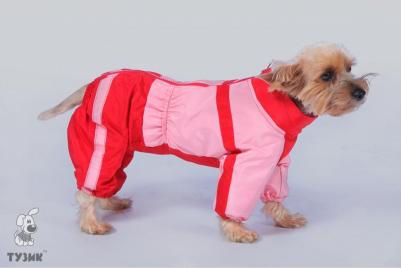 Комбинезон для собак Лабрадор-Ретривер женский, в ассортименте, длина спины 61 см 4607161711781 – фото 3