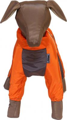 Комбинезон для собак Пекинес женский, в ассортименте, длина спины 37 см – фото 5