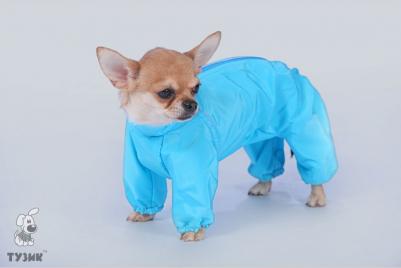 комбинезон холодный для породы бигль кобель – фото 9