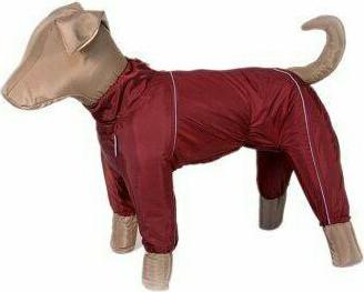 комбинезон теплый для породы такса большая сука – фото 5