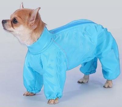 комбинезон теплый для породы такса большая сука – фото 6