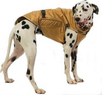 Попона для собак размер XXL унисекс, оранжевый, длина спины 45 см – фото 3