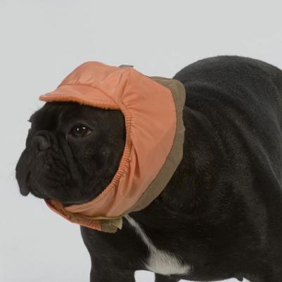 Шапка №1 теплая плащевка, флис для породы: йоркширский терьер, гриффон, шпиц – фото 11