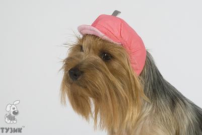 Шапка №1 теплая плащевка, флис для породы: йоркширский терьер, гриффон, шпиц – фото 12