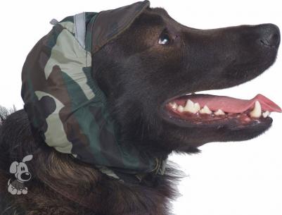 Шапка для собак китайская хохлатая, ши-тцу, унисекс, в ассортименте – фото 7