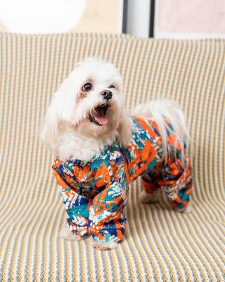 Дождевик для собак с рисунком Абстракция, оранжевый M – фото 2