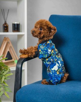 Комбинезон для собак Краски, унисекс, разноцветный, S, длина спины 20 см – фото 1