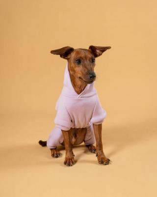 Костюм для собак, унисекс, фиолетовый, S, длина спины 23 см – фото 4