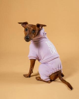 Костюм для собак, унисекс, фиолетовый, S, длина спины 23 см – фото 5