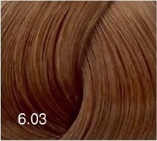 6/03 краска для волос, темно-русый натурально-золотистый / Expert Color 100 мл – фото 1