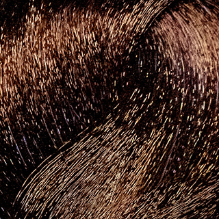 Краска для волос Colorianne Prestige 5.43 Имбирный пряник светло-коричневый - 100 мл – фото 2