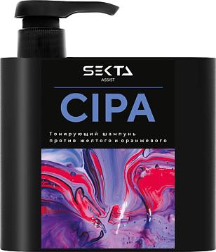 Шампунь оттеночный Нейтрализующий теплые оттенки шампунь CIPA 500.0 – фото 2