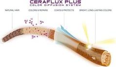 Краска для волос ColorEVO (9.2) – фото 5