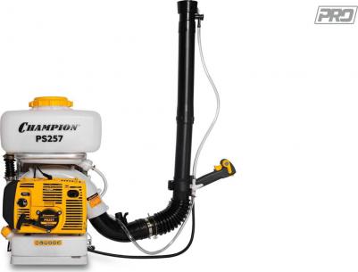 PS 257 – фото 7