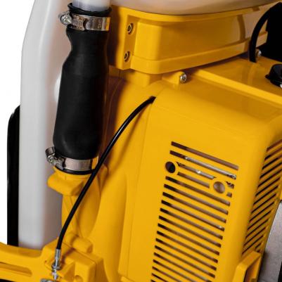 PS 282 – фото 3