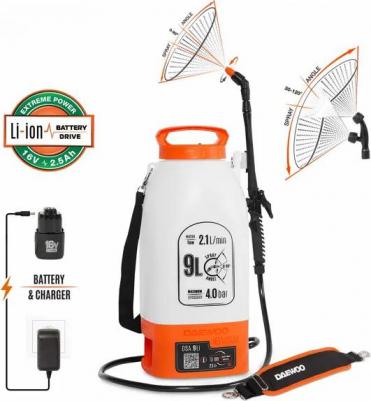 DSA 9 Li – фото 3