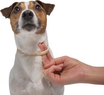 Килтикс ошейник для собак мелких пород (длина 35см) – фото 9