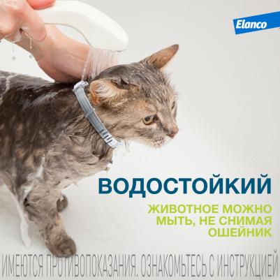 Ошейник для кошек ФОРЕСТО от клещей, блох и вшей, защита 8 месяцев – фото 1