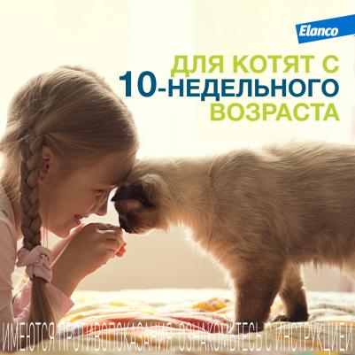 Ошейник для кошек ФОРЕСТО от клещей, блох и вшей, защита 8 месяцев – фото 6