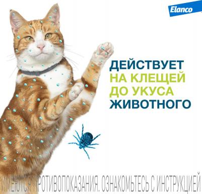 Ошейник для кошек ФОРЕСТО от клещей, блох и вшей, защита 8 месяцев – фото 7