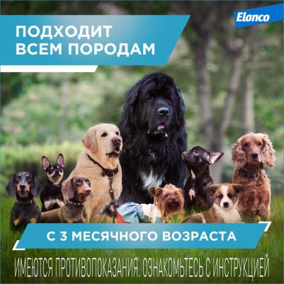 Ошейник КИЛТИКС от блох и клещей 48см – фото 12