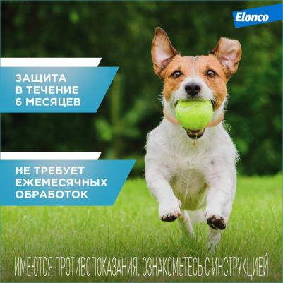 Ошейник КИЛТИКС от блох и клещей 66см – фото 7