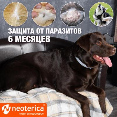 Ошейник 3D от клещей и блох для щенков и мелких собак – фото 8