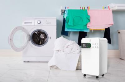 RD-PC12-EW – фото 2