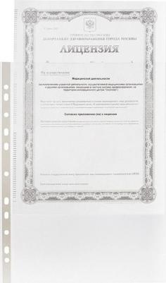 Файл-вкладыш Элементари А4 30 мкм прозрачный рифленый 100 штук в упаковке – фото 1