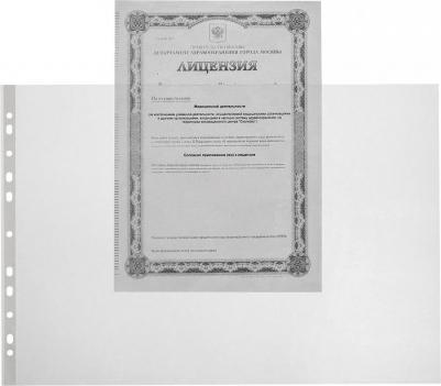 Файл-вкладыш горизонтальный А3 35 мкм прозрачный гладкий 50 штук в упаковке – фото 6