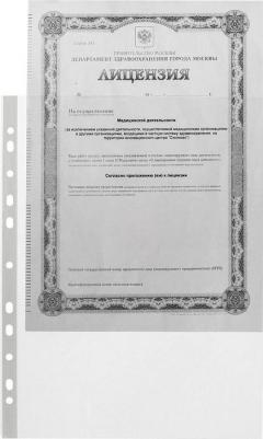Файл-вкладыш с перфорацией, А4, 40 мкм, 100 штук – фото 1