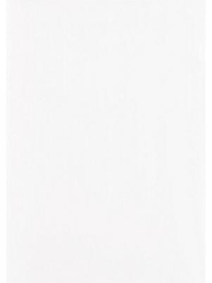 Папка-уголок A4 прозрачная 180 мкм (10 штук в упаковке) – фото 2