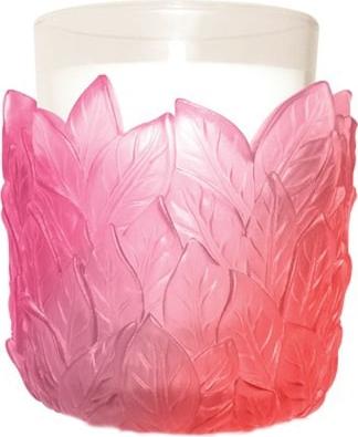 Liyoli – фото 3