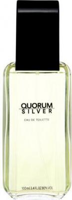Quorum Silver – фото 3