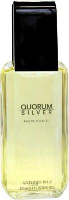 Quorum Silver – фото 5
