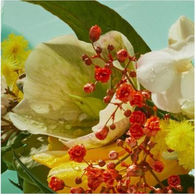 Eden – фото 17