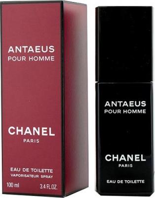 Antaeus – фото 8